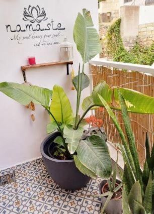 Namaste :) Enjoy Every Moment Homestay
